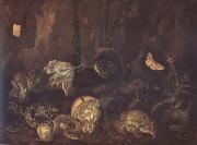 Still Life with Insects and Amphibians (mk14)